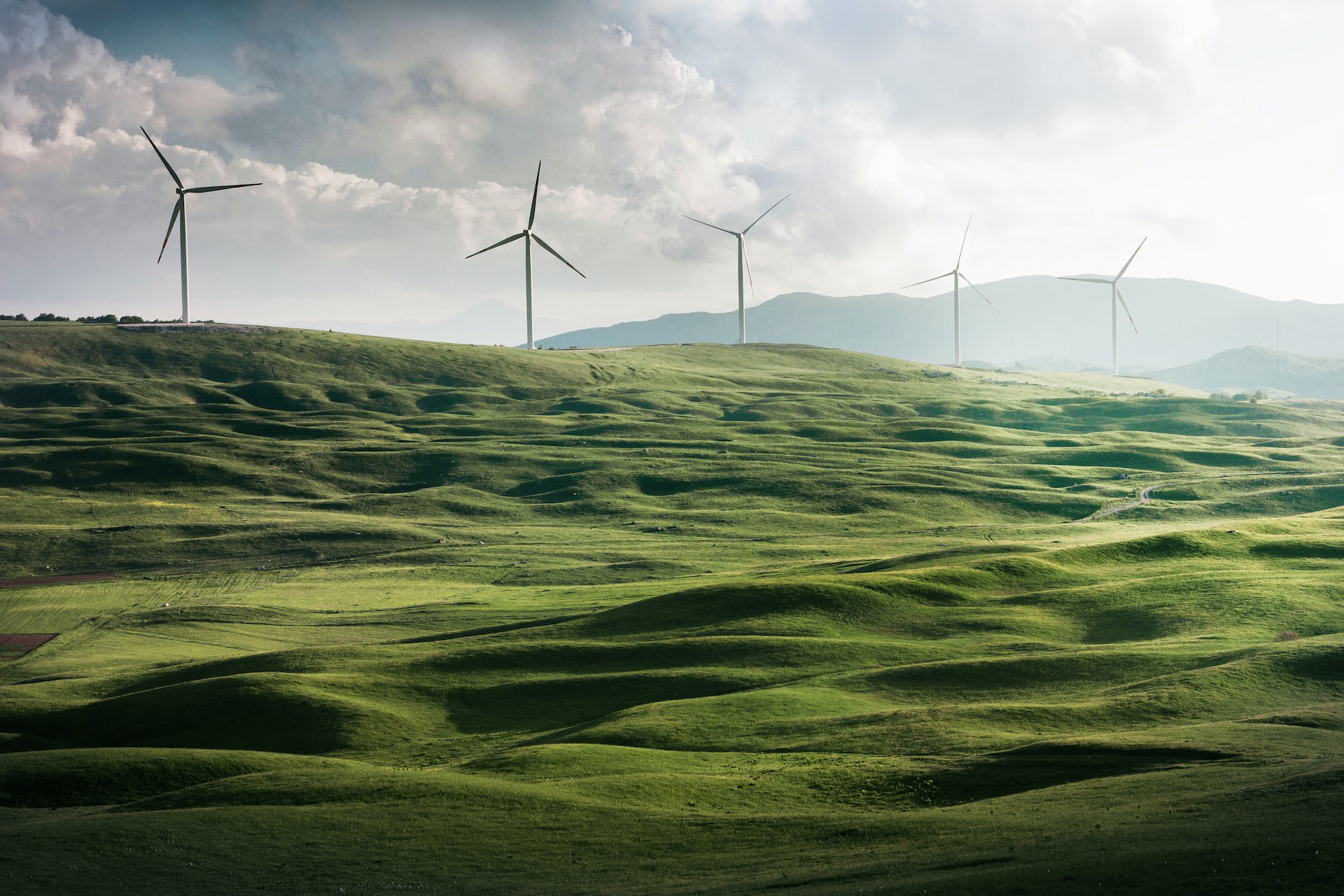 Going Green: How Companies Can Embrace Sustainability